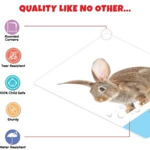 Vaishno Mata ANIMALS Flash Cards for Kids (32 Cards) | Fun Learning Toy for 2-6 years