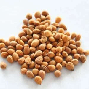 Vaishno Mata Cherry Tree Seeds