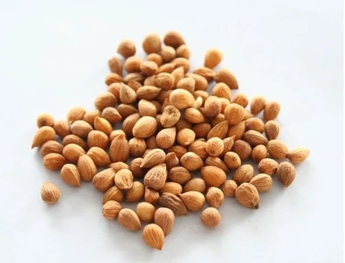 Untitled Cherry Tree Seeds