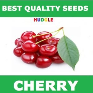 Cherry Tree Seeds